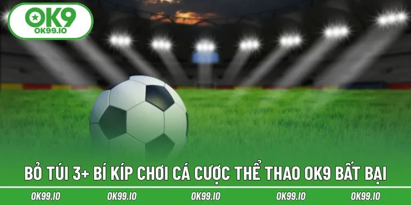 Bỏ túi 3+ bí kíp chơi cá cược thể thao OK9 bất bại