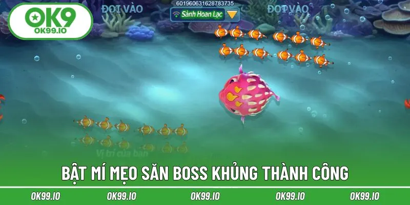 Bỏ túi các săn bắt dễ dàng trúng thưởng