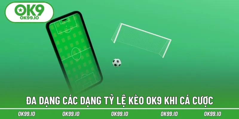 Đa dạng các dạng tỷ lệ kèo OK9 khi cá cược