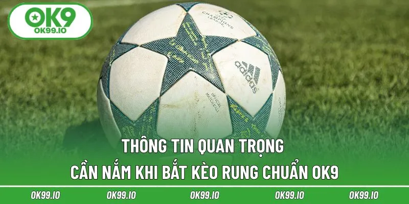 Thông tin quan trọng cần nắm khi bắt kèo rung chuẩn OK9